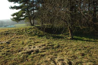 Way grodziska Zamkowo.